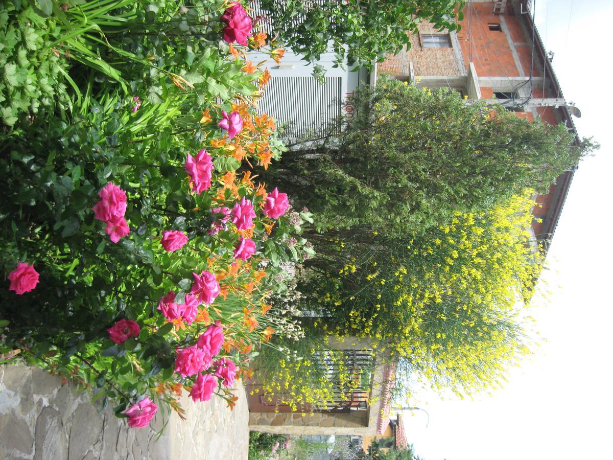Chateau Aheloy Hotel Pomorie Exterior foto